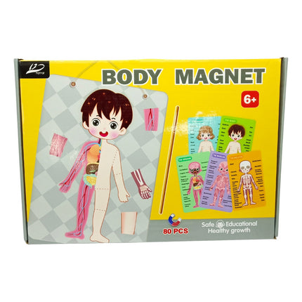Puzzle Magnético, 80 Piezas, Cuerpo Humano