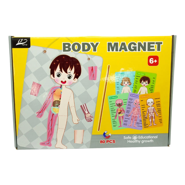 Puzzle Magnético, 80 Piezas, Cuerpo Humano
