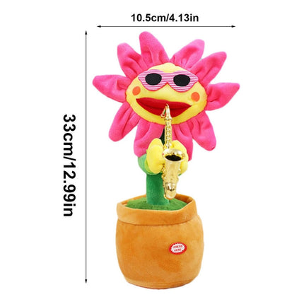Girasol Baila Canta Repite Y Graba