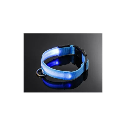 Collar Con Luz Led Para Mascota Siempre Visible Varios