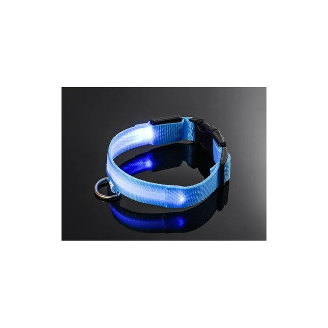 Collar Con Luz Led Para Mascota Siempre Visible Varios