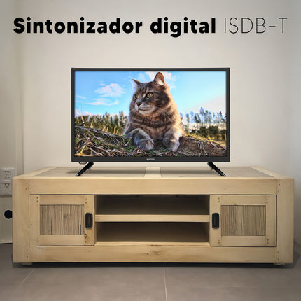 Tv Enxuta Ledenx1224d1k 24 Led Hd Hdmi Usb Isdb-t Negro