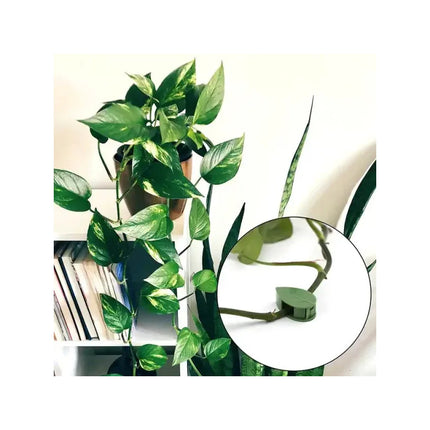 Set De 10 Guias Para Plantas Adhesivas