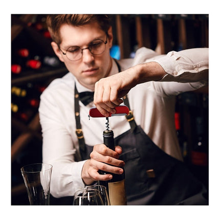 Encendedor De Arco Dual Metal Y Plástico 5 En 1 Multifuncion