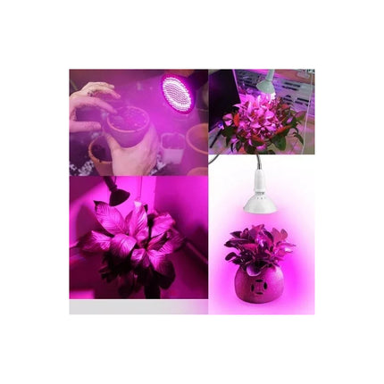 Lampara 200 Led 120 Grados Espectro Cultivo Plantas Flores Violeta