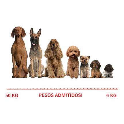 Collar Adiestra Perros Profesional Entrenador Vibración Negro