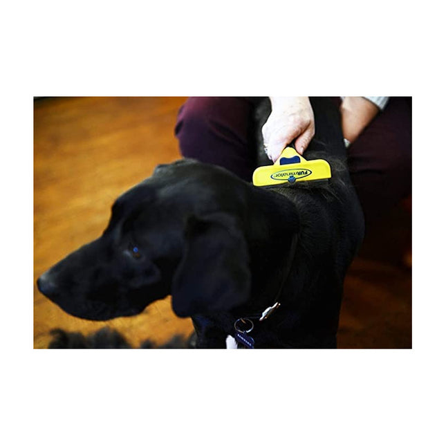 Peine Para Mascota Acero Inoxidable Amarillo