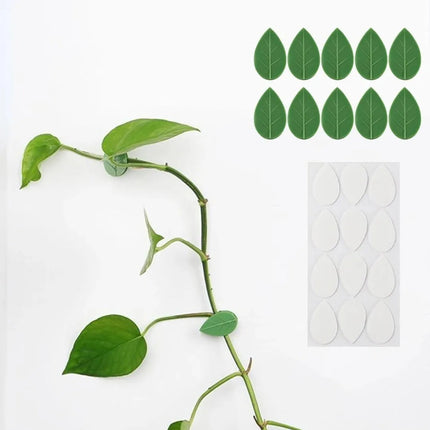 Set De 10 Guias Para Plantas Adhesivas