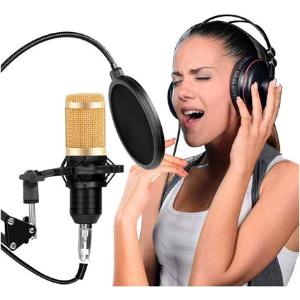 Microfono Con Condensador Brazoy Accesorios Negro