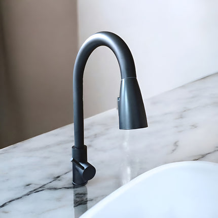 Canilla Monocomando Extensible Flexible  Negra Negro