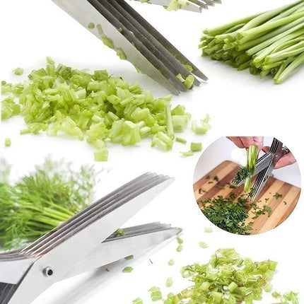 Tijera Para Hierbas 5 Cortes Simultáneos Acero Inoxidable  Verde