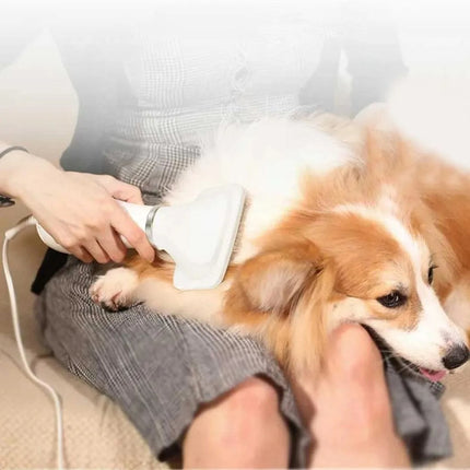 Secador De Pelo Y Cepillo Para Mascotas Gatos Perros 300w