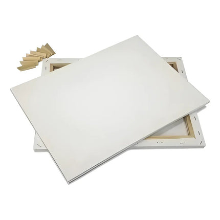 Lienzo Blanco Con Bastidores Canvas Medidas 30x40cm