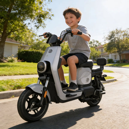 Moto Eléctrica Goldtech 500w Velocidad Máxima 45km/h Negro