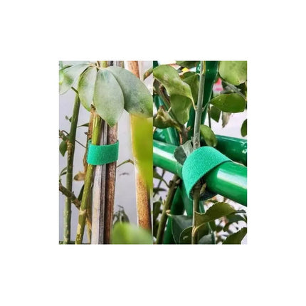 Cinta Sujetadora Para Plantas 1 Rollo De 5mts X 1,5cm Verde