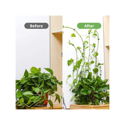 Set De 10 Guias Para Plantas Adhesivas