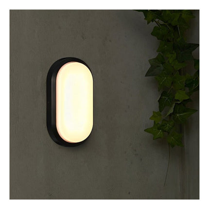 Foco Tortuga Led 8w Ovalada