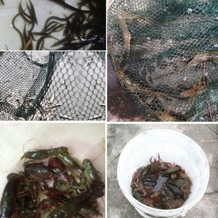 Trampa Para Peces 8 Bocas Verde Oscuro Verde