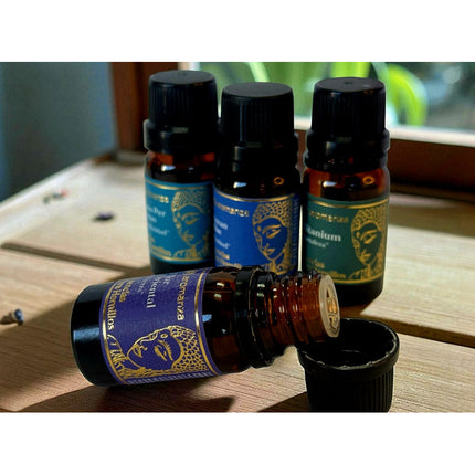 Esencias De Hornillo Aromanza Premiun 10 Ml X12