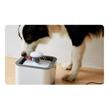 Fuente Bebedero Para Mascotas + 10 Filtro Repuesto B