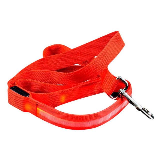 Correa Cuerda Para Mascota Con Luz Led  Varios