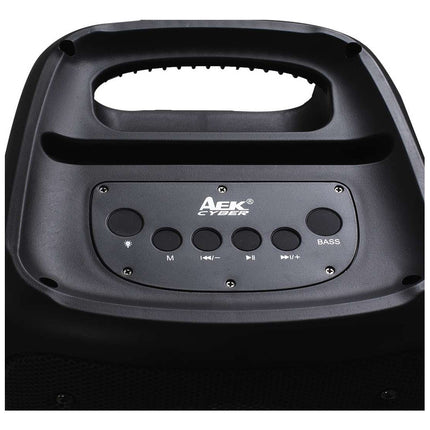 Parlante Portable Aek 6.5 X 2 S-20603 Negro