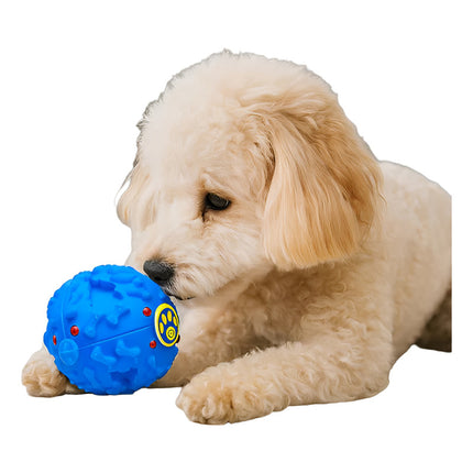 Juguete Para  Mascota  Pelota Juguete 1