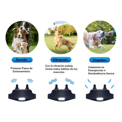 Collar Adiestra Perros Profesional Entrenador Vibración Negro