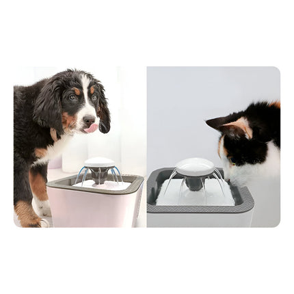 Fuente Bebedero Para Mascotas + 10 Filtro Repuesto B