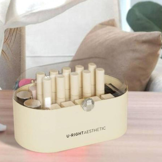 Caja Organizadora Con Compartimientos 22x11x14cm