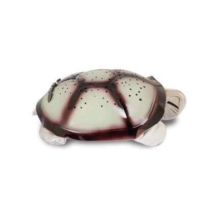 Tortuga Musical Con Luces, Veladora!  Varios