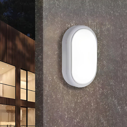 Foco Tortuga Led 8w Ovalada
