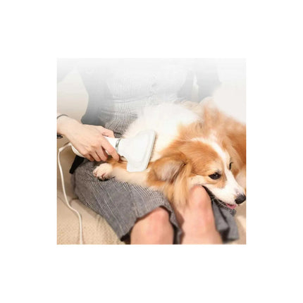 Secador De Pelo Y Cepillo Para Mascotas Gatos Perros 300w  N/a