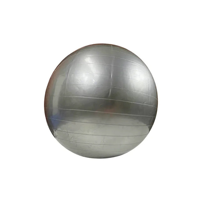Pelota Balon Suizo Para Pilates Yoga 65 Cm V