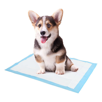 Pañales Para Perros 60x60cm Grande  Zow