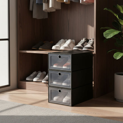 Organizador De Zapatos Individual X6