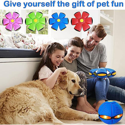 Pelota Onvi Platillo Volador De  Atrapar Con Luces  V