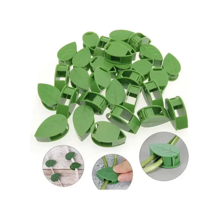 Set De 10 Guias Para Plantas Adhesivas