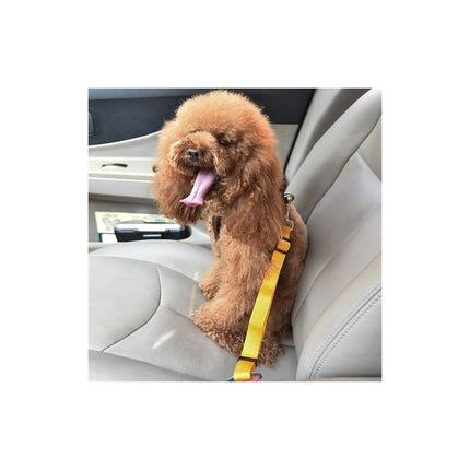 Cinturón De Seguridad Para Auto  Para Perros Todas Las Razas Varios