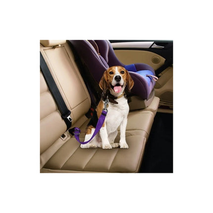 Cinturón De Seguridad Para Auto  Para Perros Todas Las Razas Varios