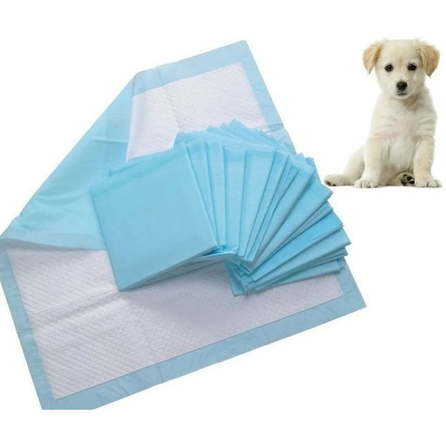 Paños De Entrenamiento  Mascotas  X 40 Unidades 60*60cm
