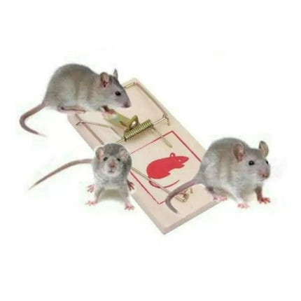 Trampa Madera Rata Ratones Roedores X 2 Unidades