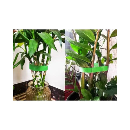 Cinta Sujetadora Para Plantas 1 Rollo De 5mts X 1,5cm Verde