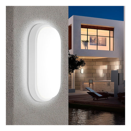 Foco Tortuga Led 20w Ovalado Luz Fria