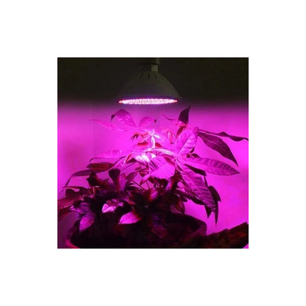 Lampara 200 Led 120 Grados Espectro Cultivo Plantas Flores Violeta