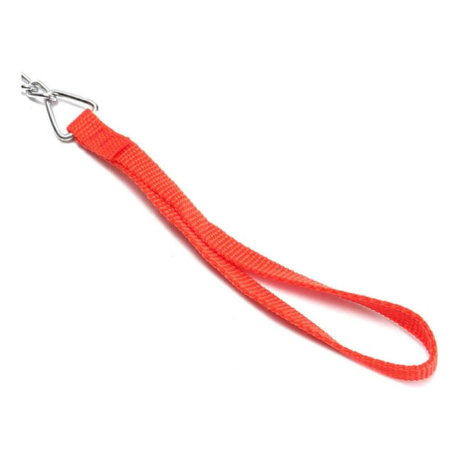 Cadena Perro Mascota Animal Paseo Con Mosquetón 2.5x48