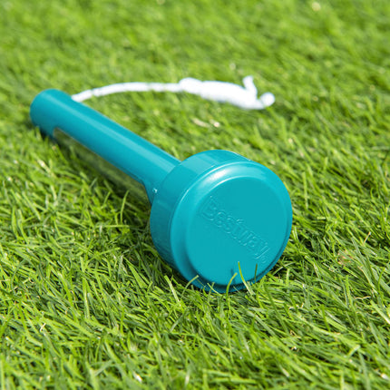 Termometro Para Piscina Bestway, En Blister