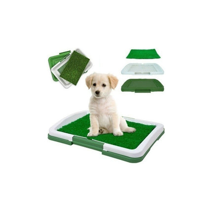 Baño Sanitario Para Perro Y Gato 47x34 Cm