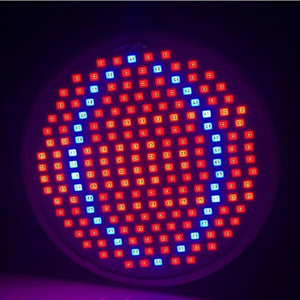 Lampara 200 Led 120 Grados Espectro Cultivo Plantas Flores Violeta