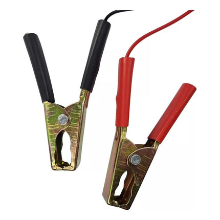 Cargador De Bateria Para Auto Vehiculo 10ap